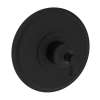 Newport Brass Vander: 3/4" Round Thermostatic Trim Plate with Handle
