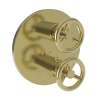 Newport Brass East Linear(R): 1/2" Round Thermostatic Trim Plate with Handle