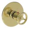 Newport Brass East Linear(R): 3/4" Round Thermostatic Trim Plate with Handle