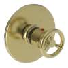 Newport Brass East Linear(R): 3/4" Round Thermostatic Trim Plate with Handle