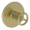 Newport Brass East Linear(R): 3/4" Round Thermostatic Trim Plate with Handle