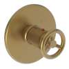 Newport Brass East Linear(R): 3/4" Round Thermostatic Trim Plate with Handle