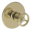 Newport Brass East Linear(R): 3/4" Round Thermostatic Trim Plate with Handle