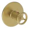 Newport Brass East Linear(R): 3/4" Round Thermostatic Trim Plate with Handle