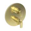 Newport Brass Dorrance(R): 1/2" Round Thermostatic Trim Plate with Handle