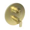 Newport Brass Dorrance(R): 1/2" Round Thermostatic Trim Plate with Handle