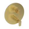 Newport Brass Dorrance(R): 1/2" Round Thermostatic Trim Plate with Handle