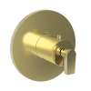 Newport Brass Dorrance(R): 3/4" Round Thermostatic Trim Plate with Handle