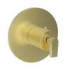 Newport Brass Dorrance(R): 3/4" Round Thermostatic Trim Plate with Handle