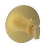 Newport Brass Dorrance(R): 3/4" Round Thermostatic Trim Plate with Handle