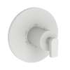 Newport Brass Dorrance(R): 3/4" Round Thermostatic Trim Plate with Handle