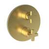 Newport Brass Dorrance(R): 1/2" Round Thermostatic Trim Plate with Handle