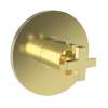 Newport Brass Dorrance(R): 3/4" Round Thermostatic Trim Plate with Handle