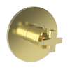 Newport Brass Dorrance(R): 3/4" Round Thermostatic Trim Plate with Handle