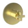 Newport Brass Dorrance(R): 3/4" Round Thermostatic Trim Plate with Handle