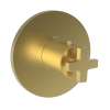 Newport Brass Dorrance(R): 3/4" Round Thermostatic Trim Plate with Handle
