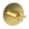 Newport Brass Dorrance(R): 3/4" Round Thermostatic Trim Plate with Handle