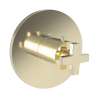 Newport Brass Dorrance(R): 3/4" Round Thermostatic Trim Plate with Handle