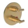 Newport Brass Pavani: 1/2" Round Thermostatic Trim Plate with Handle