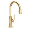 Newport Brass Stripling(R): Pull-Down Kitchen Faucet