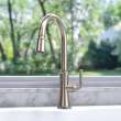 Newport Brass Stripling(R): Pull-Down Kitchen Faucet