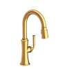 Newport Brass Stripling(R): Prep/Bar Pull Down Faucet