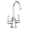 Newport Brass Stripling(R): Hot & Cold Water Dispenser