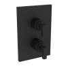 Newport Brass Malvina(R): 1/2" Square Thermostatic Trim Plate with Handle