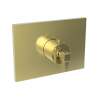 Newport Brass Malvina(R): 3/4" Square Thermostatic Trim Plate with Handle