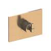 Newport Brass Malvina(R): 3/4" Square Thermostatic Trim Plate with Handle
