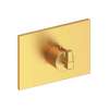 Newport Brass Malvina(R): 3/4" Square Thermostatic Trim Plate with Handle