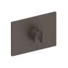 Newport Brass Malvina(R): 3/4" Square Thermostatic Trim Plate with Handle
