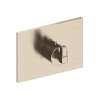Newport Brass Malvina(R): 3/4" Square Thermostatic Trim Plate with Handle