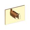 Newport Brass Malvina(R): 3/4" Square Thermostatic Trim Plate with Handle