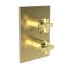 Newport Brass Malvina(R): 1/2" Square Thermostatic Trim Plate with Handle
