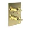 Newport Brass Malvina(R): 1/2" Square Thermostatic Trim Plate with Handle