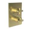 Newport Brass Malvina(R): 1/2" Square Thermostatic Trim Plate with Handle