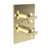 Newport Brass Malvina(R): 1/2" Square Thermostatic Trim Plate with Handle