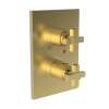 Newport Brass Malvina(R): 1/2" Square Thermostatic Trim Plate with Handle