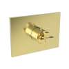 Newport Brass Malvina(R): 3/4" Square Thermostatic Trim Plate with Handle