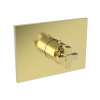 Newport Brass Malvina(R): 3/4" Square Thermostatic Trim Plate with Handle