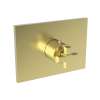 Newport Brass Malvina(R): 3/4" Square Thermostatic Trim Plate with Handle