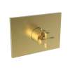 Newport Brass Malvina(R): 3/4" Square Thermostatic Trim Plate with Handle