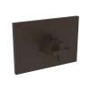 Newport Brass Malvina(R): 3/4" Square Thermostatic Trim Plate with Handle
