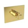 Newport Brass Malvina(R): 3/4" Square Thermostatic Trim Plate with Handle