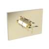 Newport Brass Malvina(R): 3/4" Square Thermostatic Trim Plate with Handle