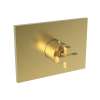 Newport Brass Malvina(R): 3/4" Square Thermostatic Trim Plate with Handle