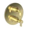 Newport Brass Pardees(R): 1/2" Round Thermostatic Trim Plate with Handle