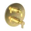 Newport Brass Pardees(R): 1/2" Round Thermostatic Trim Plate with Handle