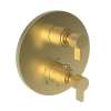 Newport Brass Pardees(R): 1/2" Round Thermostatic Trim Plate with Handle